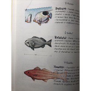 Luigi Serafini Codex Seraphinianus Print 83A